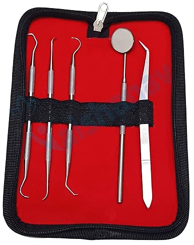 Dental Pmt Tools Pack of 5 Dental Pick Dental Scaler