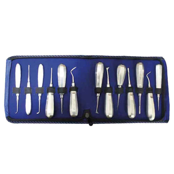 API Root Elevator Kit - Set of 13 Pcs Buy Dental products Online DentalMyntra