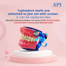 Api Jaw Set And Teeth B-561 Buy Dental products Online DentalMyntra