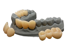 Crown & Bridge Pro Biocompatible long term crowns Buy Dental products Online DentalMyntra