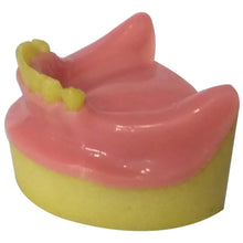 Dental Model Partially Edentulous Mandible MD-123 Buy Dental products Online DentalMyntra