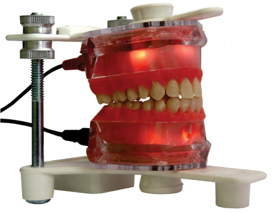 Electronic Typodont Buy Dental products Online DentalMyntra