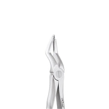 Oracraft Extraction Forceps Atraumatic