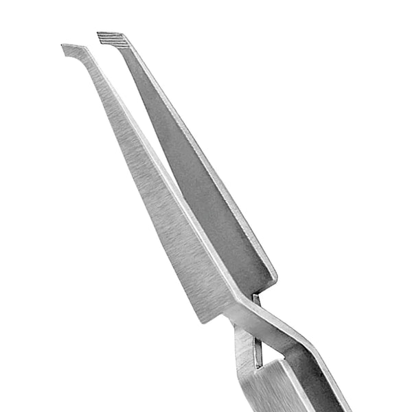 GDC Bracket Holding Tweezer (1008) Buy Dental products Online DentalMyntra