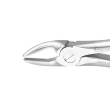 GDC Extraction Forcep Upper Premolar - 7 Premium (FX7P) Buy Dental products Online DentalMyntra