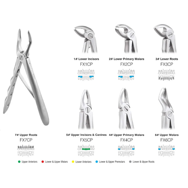 GDC Extraction Forceps Pedo Set Of 7 In Pouch Premium (EFPPP7) Buy Dental products Online DentalMyntra