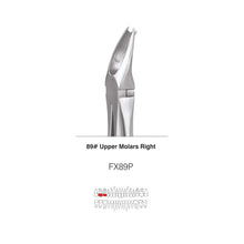 GDC Extraction Forceps S/12 With Cassette Instruments Kit (EFPWC12) Buy Dental products Online DentalMyntra