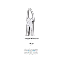 GDC Extraction Forceps S/12 With Cassette Instruments Kit (EFPWC12) Buy Dental products Online DentalMyntra