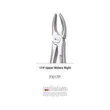 GDC Extraction Forceps S/12 With Cassette Instruments Kit (EFPWC12) Buy Dental products Online DentalMyntra