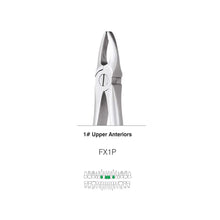 GDC Extraction Forceps S/12 With Cassette Instruments Kit (EFPWC12) Buy Dental products Online DentalMyntra