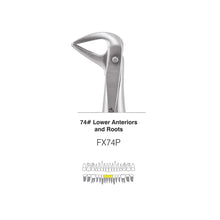 GDC Extraction Forceps S/12 With Cassette Instruments Kit (EFPWC12) Buy Dental products Online DentalMyntra