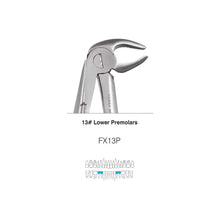 GDC Extraction Forceps S/12 With Cassette Instruments Kit (EFPWC12) Buy Dental products Online DentalMyntra