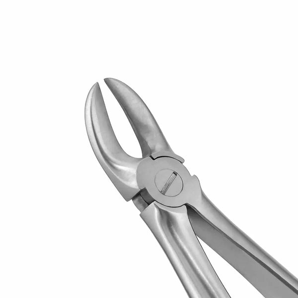 GDC Extraction Forceps Separating Upper Molars - 55 Standard (FX55S) Buy Dental products Online DentalMyntra