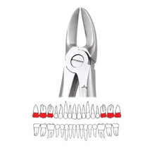 GDC Extraction Forceps Separating Upper Molars - 55 Standard (FX55S) Buy Dental products Online DentalMyntra