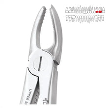 GDC Extraction Forceps Upper Molar Left Ergonomic (FX18E) Buy Dental products Online DentalMyntra