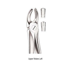 GDC Extraction Forceps Upper Molar Left Premium (FX18P) Buy Dental products Online DentalMyntra