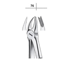 GDC Extraction Forceps Upper Molar Right Premium Cowhorn- FX89P Buy Dental products Online DentalMyntra