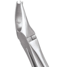 GDC Extraction Forceps Upper Molar Right Premium Cowhorn- FX89P Buy Dental products Online DentalMyntra