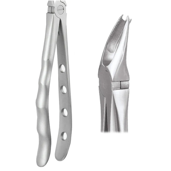 GDC Extraction Forceps Upper Molar Right Premium Cowhorn- FX89P Buy Dental products Online DentalMyntra