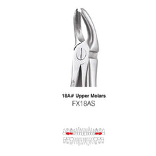 GDC Extraction Forceps Upper Molar Standard 18A (FX18AS) Buy Dental products Online DentalMyntra