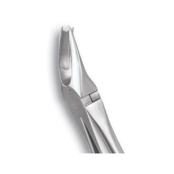 GDC Extraction Forceps Upper Molars Right Standard Buy Dental products Online DentalMyntra