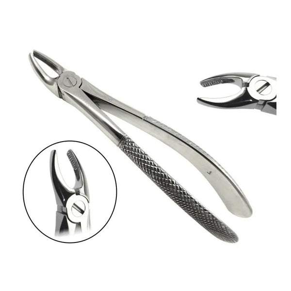 GDC Extraction Forceps Upper Premolar - 7 Standard Buy Dental products Online DentalMyntra