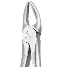 GDC Extraction Forceps Upper Premolar - 7 Standard Buy Dental products Online DentalMyntra