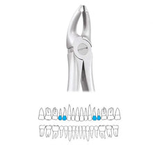 GDC Extraction Forceps Upper Premolars - 7 Atraumatic (AFX7) Buy Dental products Online DentalMyntra