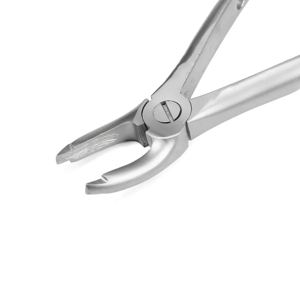 GDC Extraction Forceps Upper Premolars - 7 Atraumatic (AFX7) Buy Dental products Online DentalMyntra