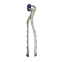 GDC Extraction Forceps Upper Right Physical (Pafx100ur) Buy Dental products Online DentalMyntra