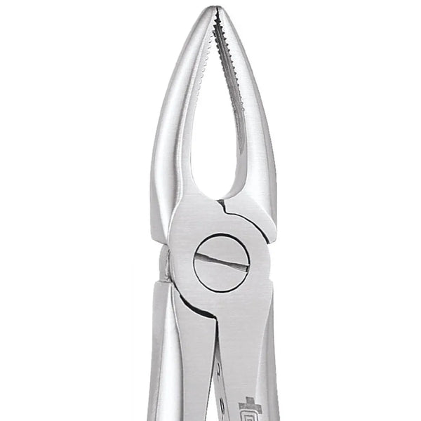 GDC Extraction Forceps Upper Roots - 29 Standard Buy Dental products Online DentalMyntra