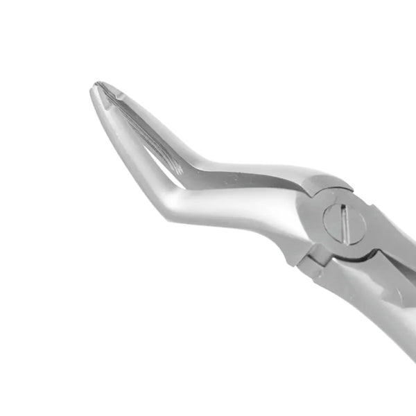 GDC Extraction Forceps Upper Roots - 51a Atraumatic (Afx51a) Buy Dental products Online DentalMyntra