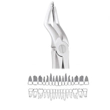 GDC Extraction Forceps Upper Roots - 51a Atraumatic (Afx51a) Buy Dental products Online DentalMyntra