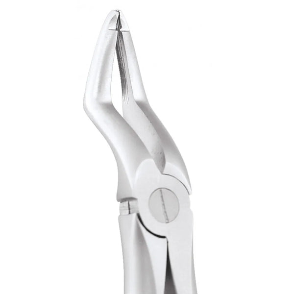 GDC Extraction Forceps Upper Roots - 51a Atraumatic (Afx51a) Buy Dental products Online DentalMyntra