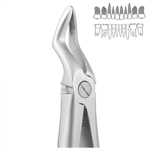 GDC Extraction Forceps Upper Roots Pedo Standard (FX7CS) Buy Dental products Online DentalMyntra