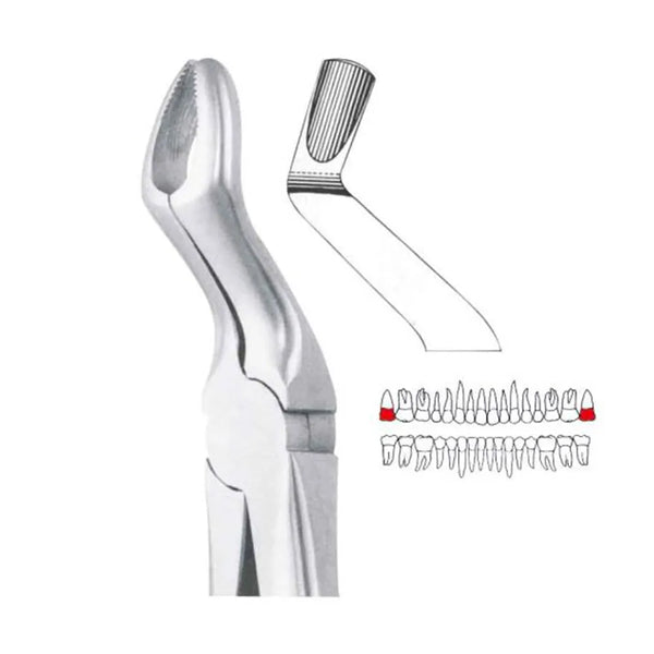 GDC Extraction Forceps Upper Third Molars - 67a Premium (Fx67ap) Buy Dental products Online DentalMyntra