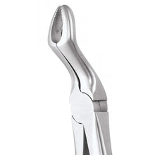 GDC Extraction Forceps Upper Third Molars - 67a Premium (Fx67ap) Buy Dental products Online DentalMyntra