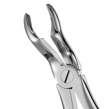 GDC Extraction Forceps Upper Third Molars - 67a Premium (Fx67ap) Buy Dental products Online DentalMyntra