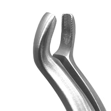 GDC Extraction Forceps Upper Third Molars - 67a Premium (Fx67ap) Buy Dental products Online DentalMyntra