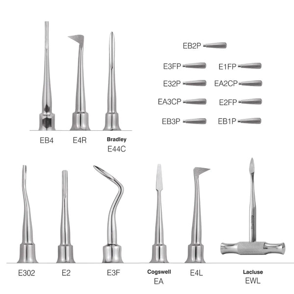 GDC Root Elevators Root Elevators for luxation of teeth Buy Dental products Online DentalMyntra