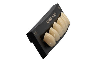 HUGE TEETH SET Buy Dental products Online DentalMyntra