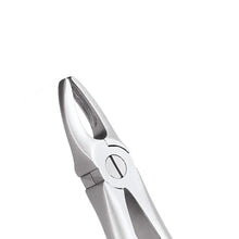 Oracraft Upper Anterior Extraction Forceps - Premium (FX1P) Buy Dental products Online DentalMyntra