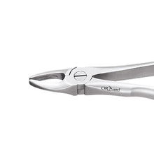 Oracraft Upper Anterior Extraction Forceps - Premium (FX1P) Buy Dental products Online DentalMyntra