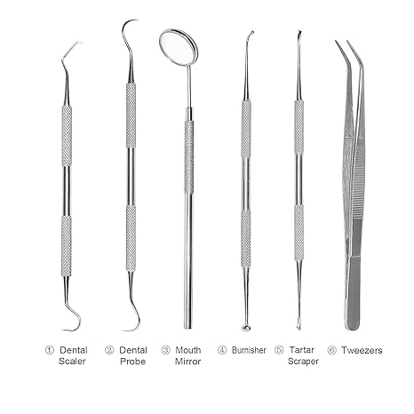 PROSCO Dental Instruments Kit Stainless Steel Mouth Mirror Probe Scaler Set Dental Examination Tooth Clean Oral Care Hygiene 6 Pcs. Set Buy Dental products Online DentalMyntra