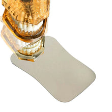 Photographic Mirrors Stainless Steel Buy Dental products Online DentalMyntra