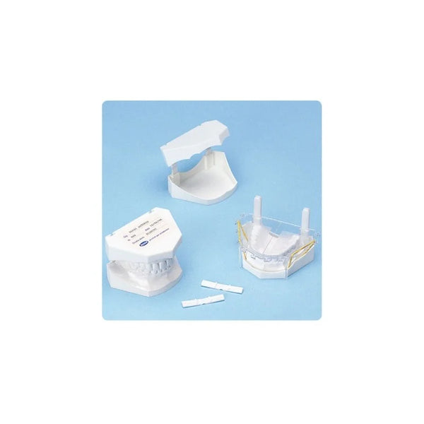 Plastic Model Bases Buy Dental products Online DentalMyntra