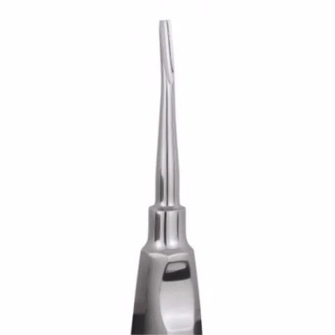 Root Elevator Coupland Root Elevator (EA2C) Buy Dental products Online DentalMyntra