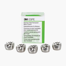 Stainless Steel First Permanent Molar Replacement Crown (5 Pcs) – 3M ESPE Buy Dental products Online DentalMyntra