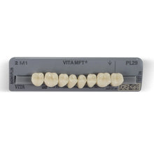 Vita MFT Denture Teeth 2M1 (Set of 28) Buy Dental products Online DentalMyntra