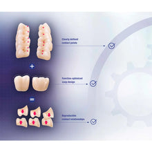 Vita MFT Denture Teeth 2M1 (Set of 28) Buy Dental products Online DentalMyntra